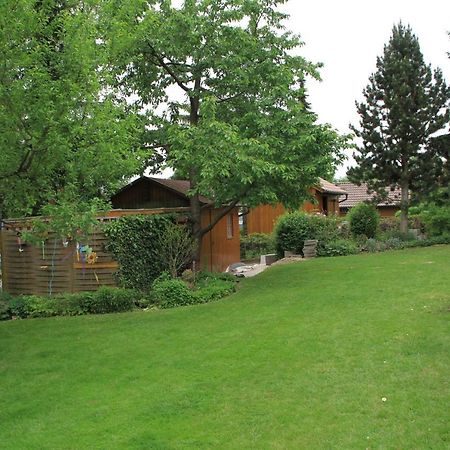 Ferienwohnung Elsner Neunburg vorm Wald Exteriör bild
